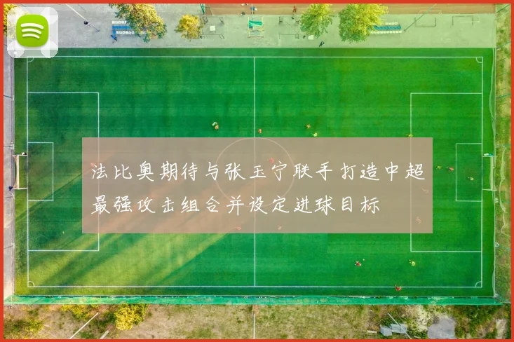 法比奥期待与张玉宁联手打造中超最强攻击组合并设定进球目标
